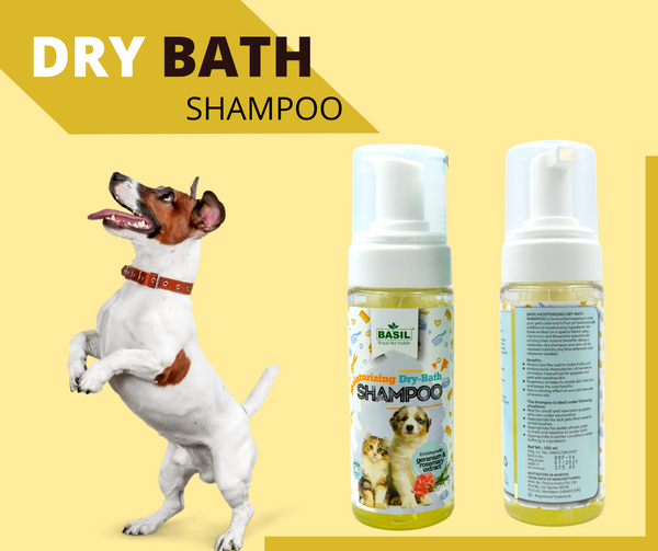 Dry bath hotsell shampoo for dogs